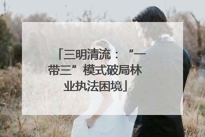三明清流：“一带三”模式破局林业执法困境