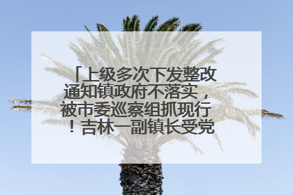 上级多次下发整改通知镇政府不落实，被市委巡察组抓现行！吉林一副镇长受党内警告处分
