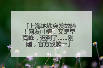 上海地铁突发故障！网友吐槽：又是早高峰，迟到了……刚刚，官方致歉→