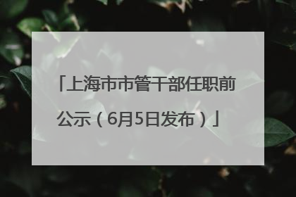 上海市市管干部任职前公示（6月5日发布）