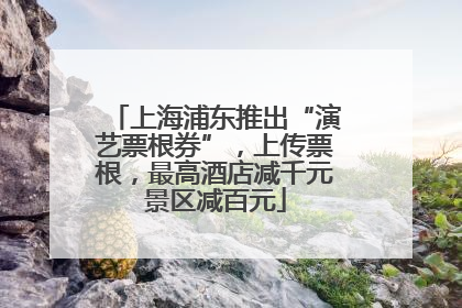 上海浦东推出“演艺票根券”，上传票根，最高酒店减千元景区减百元