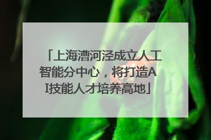 上海漕河泾成立人工智能分中心，将打造AI技能人才培养高地