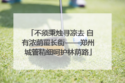 不须秉烛寻凉去 自有浓荫覆长街——郑州城管精细呵护林荫路