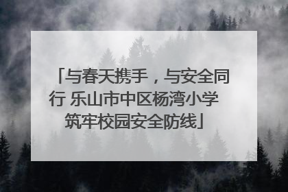 与春天携手，与安全同行 乐山市中区杨湾小学筑牢校园安全防线