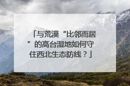 与荒漠“比邻而居”的高台湿地如何守住西北生态防线？