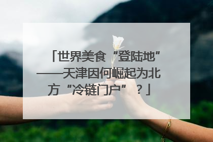世界美食“登陆地”——天津因何崛起为北方“冷链门户”？