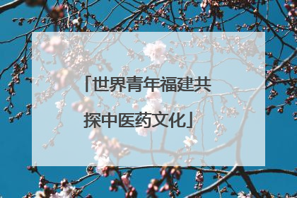 世界青年福建共探中医药文化