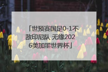 世预赛国足0-1不敌印尼队 无缘2026美加墨世界杯