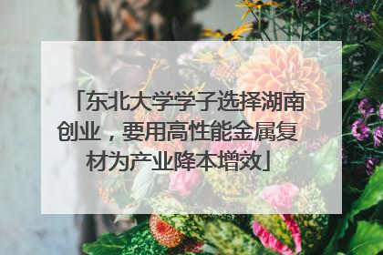 东北大学学子选择湖南创业，要用高性能金属复材为产业降本增效