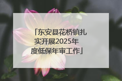 东安县花桥镇扎实开展2025年度低保年审工作