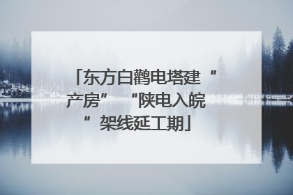 东方白鹳电塔建“产房” “陕电入皖”架线延工期