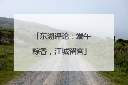 东湖评论：端午粽香，江城留客