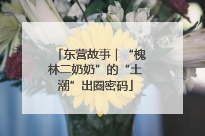 东营故事｜“槐林二奶奶”的“土潮”出圈密码