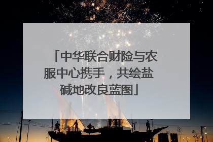 中华联合财险与农服中心携手，共绘盐碱地改良蓝图