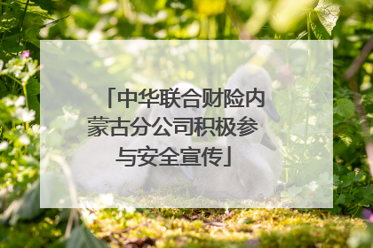 中华联合财险内蒙古分公司积极参与安全宣传