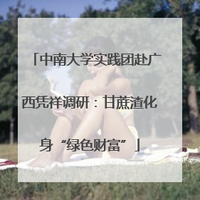 中南大学实践团赴广西凭祥调研：甘蔗渣化身“绿色财富”