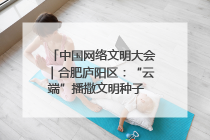 中国网络文明大会｜合肥庐阳区：“云端”播撒文明种子 共建清朗网络空间