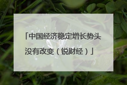中国经济稳定增长势头没有改变（锐财经）