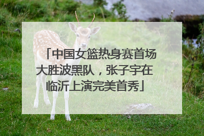 中国女篮热身赛首场大胜波黑队，张子宇在临沂上演完美首秀