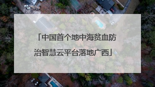 中国首个地中海贫血防治智慧云平台落地广西