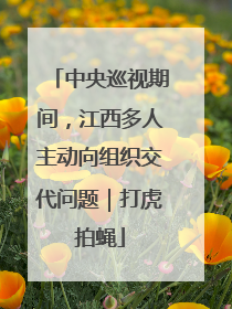 中央巡视期间，江西多人主动向组织交代问题｜打虎拍蝇