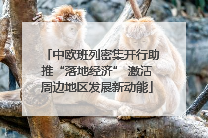 中欧班列密集开行助推“落地经济” 激活周边地区发展新动能