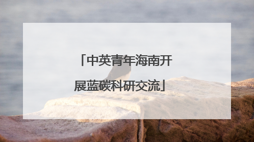 中英青年海南开展蓝碳科研交流