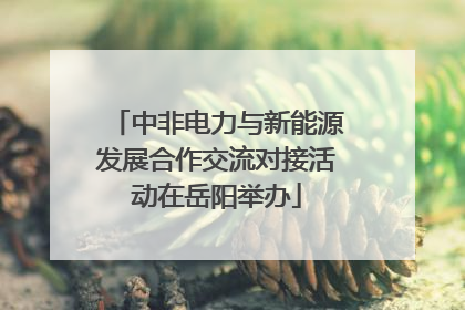中非电力与新能源发展合作交流对接活动在岳阳举办