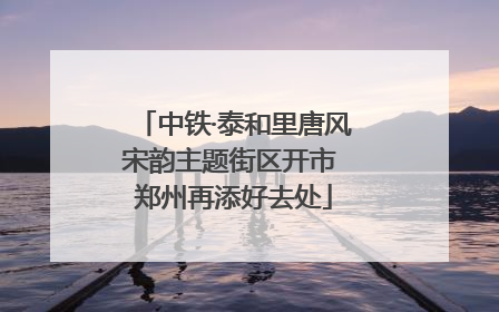 中铁·泰和里唐风宋韵主题街区开市 郑州再添好去处