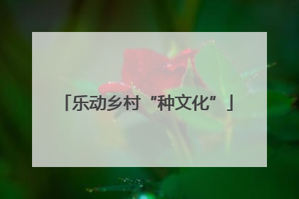 乐动乡村“种文化”
