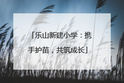 乐山新建小学：携手护苗，共筑成长