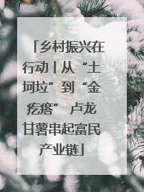 乡村振兴在行动丨从“土坷垃”到“金疙瘩” 卢龙甘薯串起富民产业链