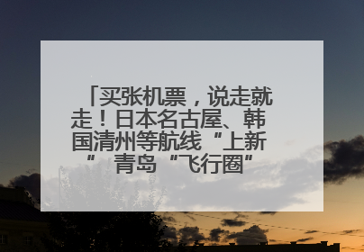 买张机票，说走就走！日本名古屋、韩国清州等航线“上新” 青岛“飞行圈”不断扩大