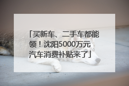 买新车、二手车都能领！沈阳5000万元汽车消费补贴来了