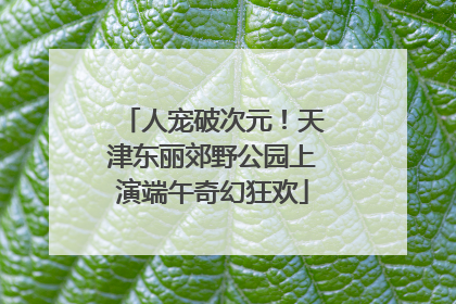 人宠破次元！天津东丽郊野公园上演端午奇幻狂欢
