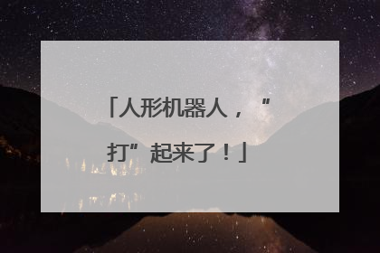 人形机器人，“打”起来了！