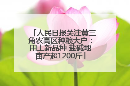 人民日报关注黄三角农高区种粮大户：用上新品种 盐碱地亩产超1200斤