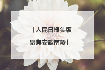 人民日报头版聚焦安徽南陵