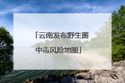 云南发布野生菌中毒风险地图