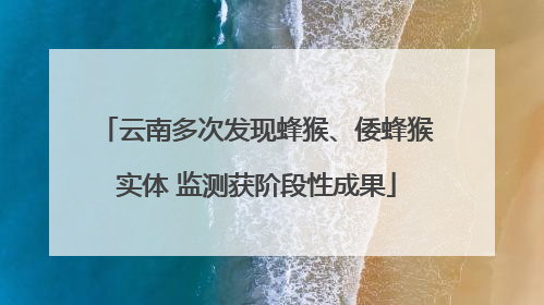 云南多次发现蜂猴、倭蜂猴实体 监测获阶段性成果