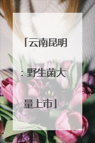 云南昆明：野生菌大量上市