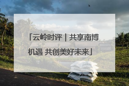云岭时评｜共享南博机遇 共创美好未来