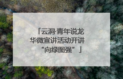 云洞·青年说龙华微宣讲活动开讲“向绿图强”
