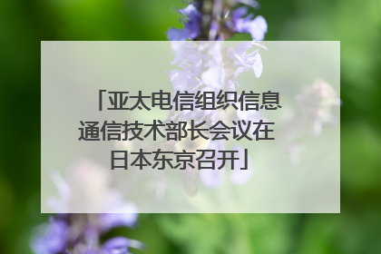亚太电信组织信息通信技术部长会议在日本东京召开