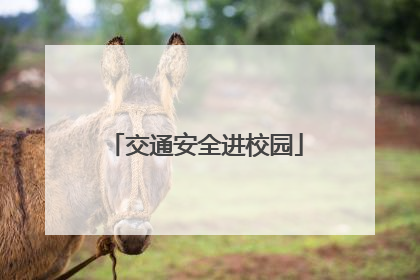 交通安全进校园