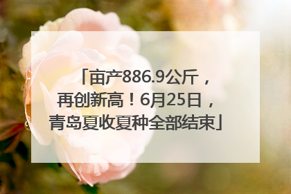 亩产886.9公斤，再创新高！6月25日，青岛夏收夏种全部结束