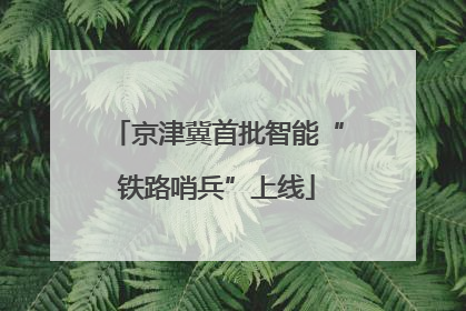 京津冀首批智能“铁路哨兵”上线