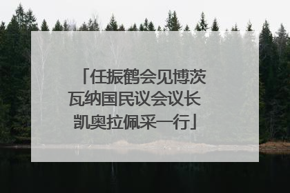 任振鹤会见博茨瓦纳国民议会议长凯奥拉佩采一行