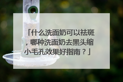 什么洗面奶可以祛斑，哪种洗面奶去黑头缩小毛孔效果好指南？