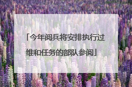 今年阅兵将安排执行过维和任务的部队参阅